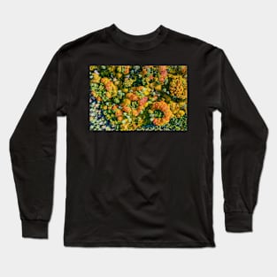 Aerial top down view of vibrant colorful autumn forest Long Sleeve T-Shirt